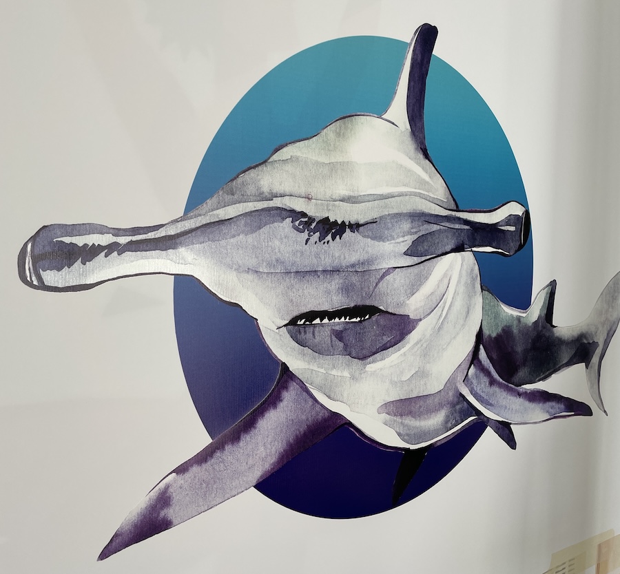 impression wall print HD - ImpriMur impression wall print HD - ImpriMur